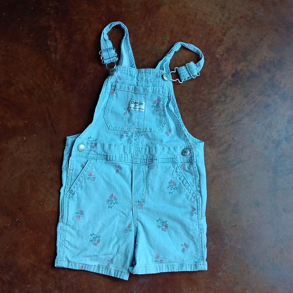 OshKosh Denim pinstrip with strawberries Shortalls Size 4T